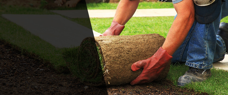 Mcalester Landscapers